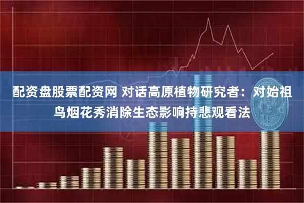 配资盘股票配资网 对话高原植物研究者：对始祖鸟烟花秀消除生态影响持悲观看法