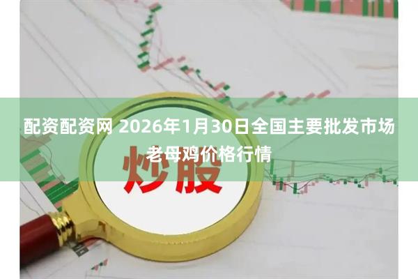 配资配资网 2026年1月30日全国主要批发市场老母鸡价格行情