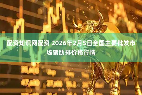 配资知识网配资 2026年2月5日全国主要批发市场猪肋排价格行情